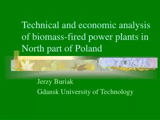 Technical and economic analysis of biomass-fired power plants in North part of Poland