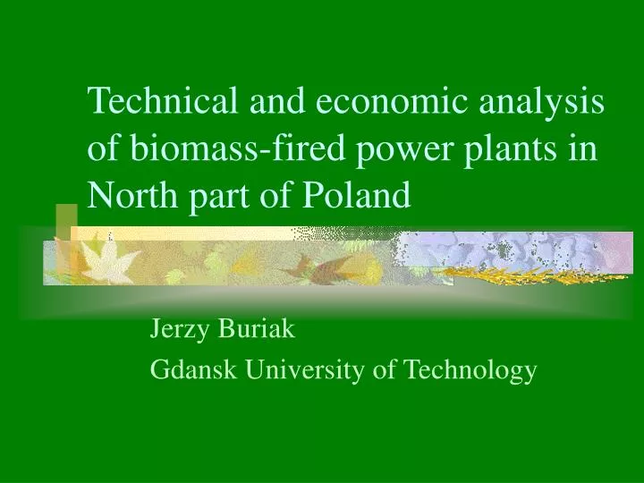 technical and economic analysis of biomass fired power plants in north part of poland