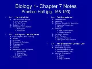 Biology 1- Chapter 7 Notes Prentice Hall (pg. 168-193)