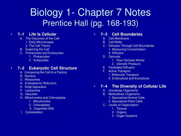 biology 1 chapter 7 notes prentice hall pg 168 193