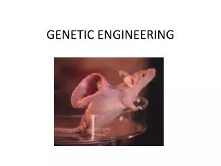 GENETIC ENGINEERING