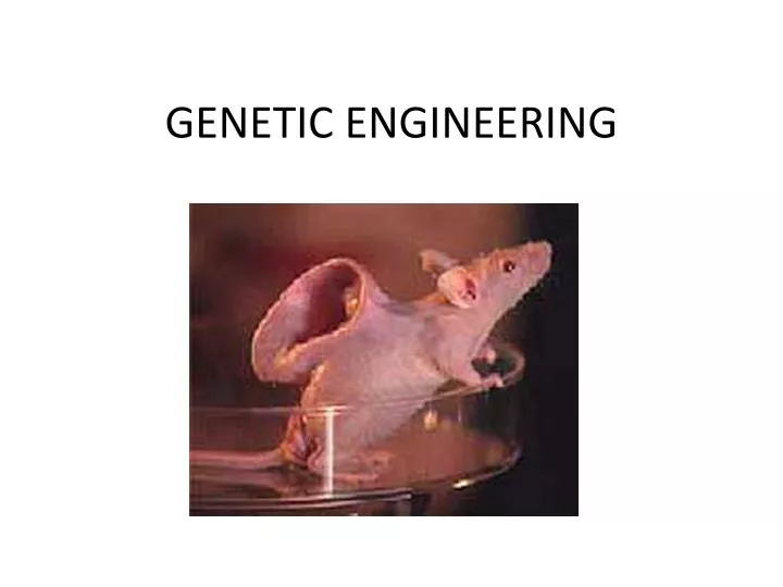 genetic engineering