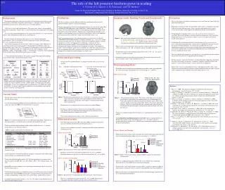 Two pre-tests were conducted before scanning to verify the efficacy of our visual masking