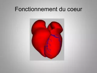 fonctionnement du coeur