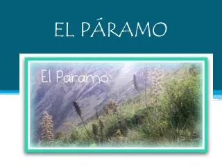 el p ramo
