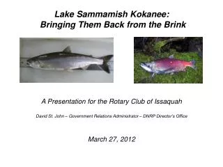 Lake Sammamish Kokanee: Bringing Them Back from the Brink A Presentation for the Rotary Club of Issaquah