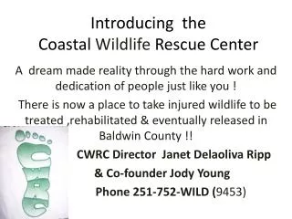 Introducing the Coastal Wildlife Rescue Center
