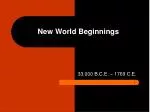 New World Beginnings - slide 1