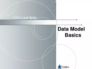 Data Model Basics