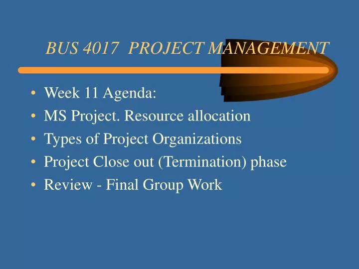 bus 4017 project management