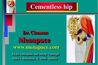 Cementless hip