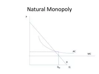 Natural Monopoly