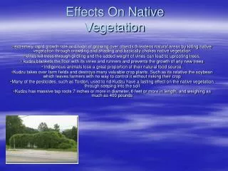 Effects On Native Vegetation