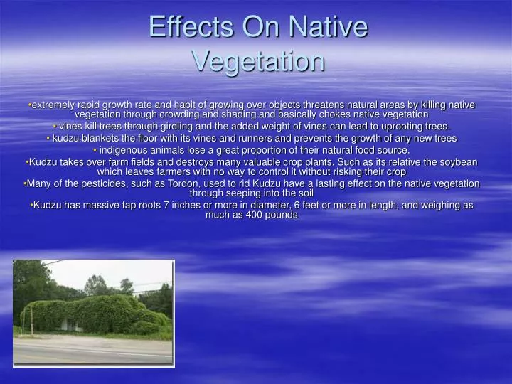 effects on native vegetation
