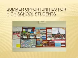 Summer Opportunities for High School Students