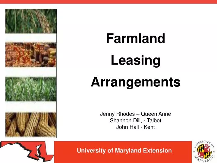 university of maryland extension