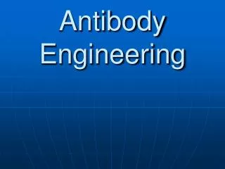Antibody Engineering
