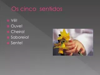 os cinco sentidos