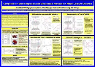 Competition of Steric Repulsion and Electrostatic Attraction in Model Calcium Channels