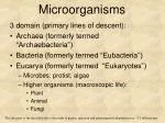 Microorganisms - slide 1