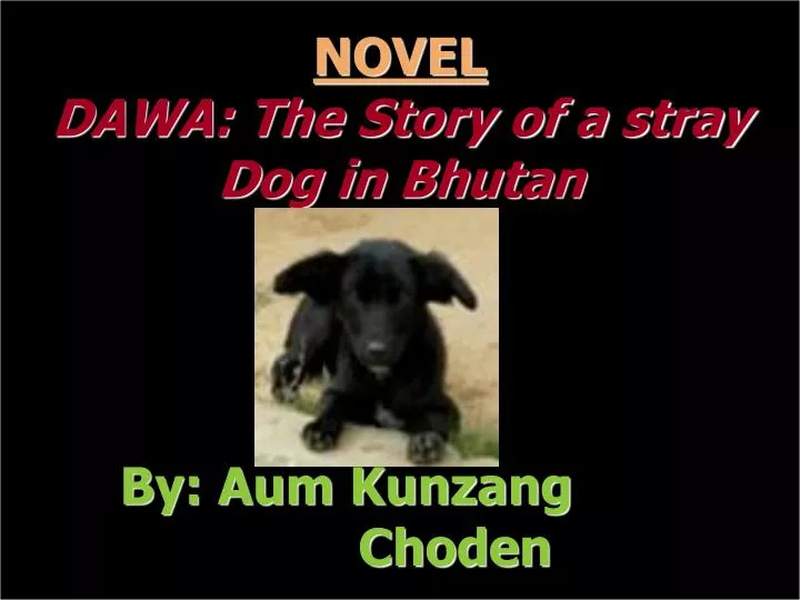 novel dawa the story of a stray dog in bhutan by aum kunzang choden
