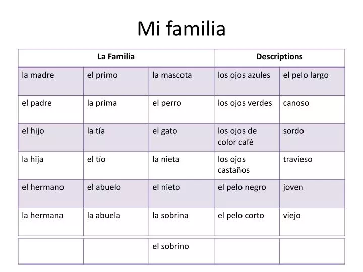 mi familia