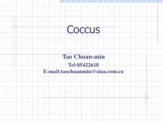 Coccus Tao Chuan-min Tel:85422618 E-mail:taochuanmin@sina.com.cn