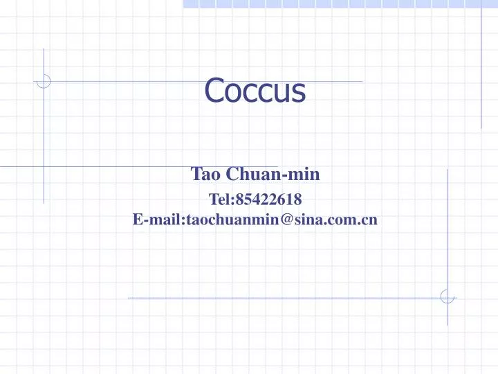 coccus tao chuan min tel 85422618 e mail taochuanmin@sina com cn