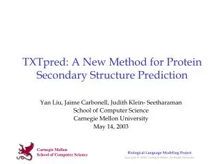 TXTpred: A New Method for Protein Secondary Structure Prediction