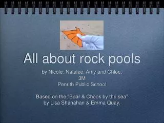 All about rock pools