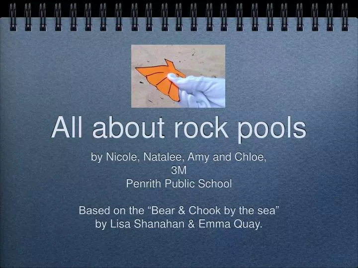 all about rock pools