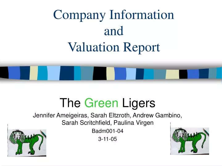 company information and valuation report