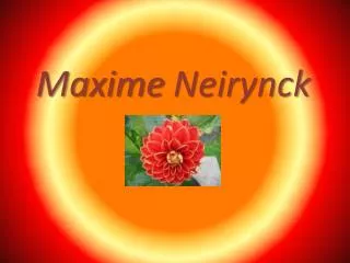 Maxime Neirynck
