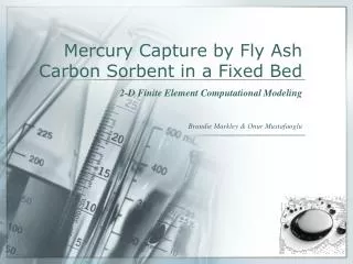 Mercury Capture by Fly Ash Carbon Sorbent in a Fixed Bed