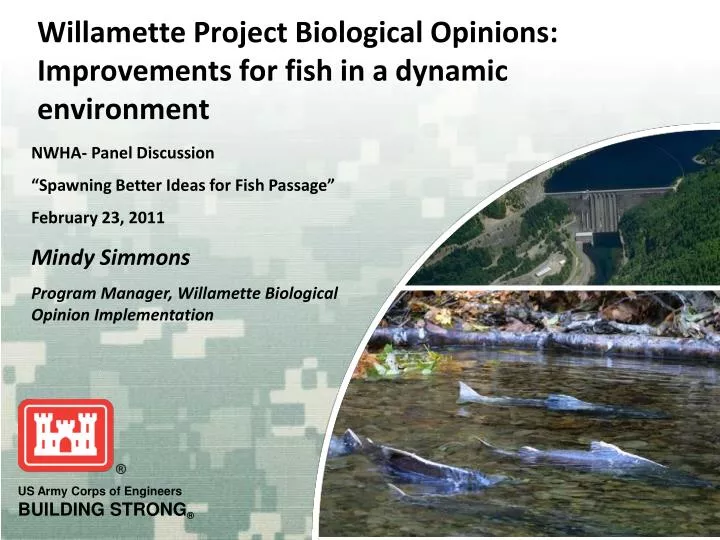 willamette project biological opinions improvements for fish in a dynamic environment