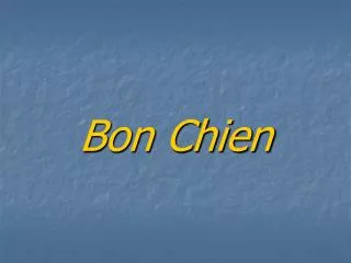 bon chien