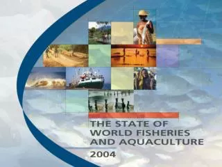 A few words about: The Global Overview The Issues The FAO Special studies, and The Outlook
