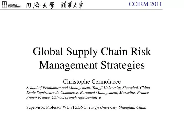 global supply chain risk management strategies