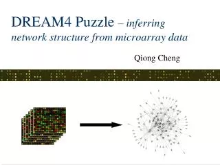 DREAM4 Puzzle – inferring network structure from microarray data