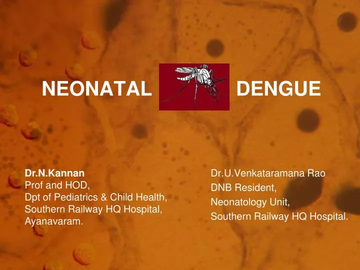 neonatal dengue