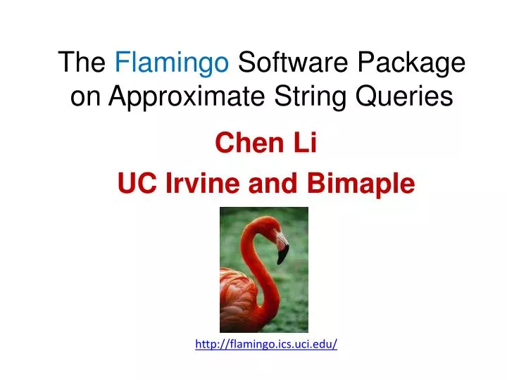 the flamingo software package on approximate string queries