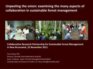 Unpeeling the onion: examining the many aspects of collaboration in sustainable forest management