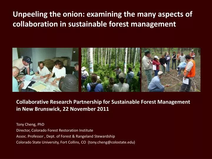 unpeeling the onion examining the many aspects of collaboration in sustainable forest management