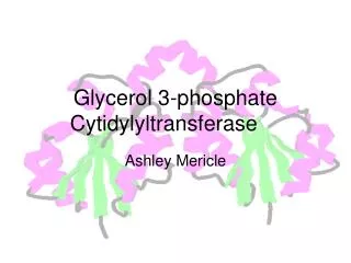 Glycerol 3-phosphate Cytidylyltransferase