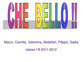 Marco, Camilla, Valentina, Abdellah, Filippo, Sadia classe I B 2011-2012