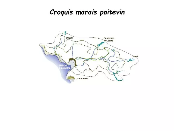 croquis marais poitevin