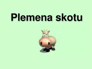 plemena skotu