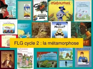 flg cycle 2 la m tamorphose