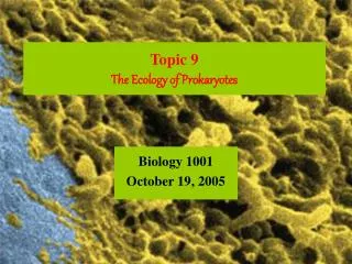 Topic 9 The Ecology of Prokaryotes