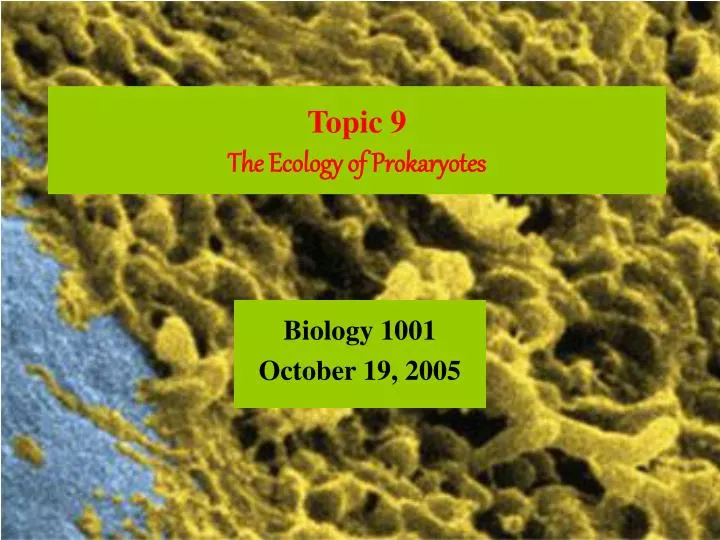 topic 9 the ecology of prokaryotes